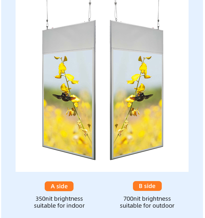 digital signage window display